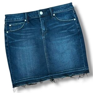 Articles Of Society Stacy Dark Wash Denim Skirt Raw Hem sz 28